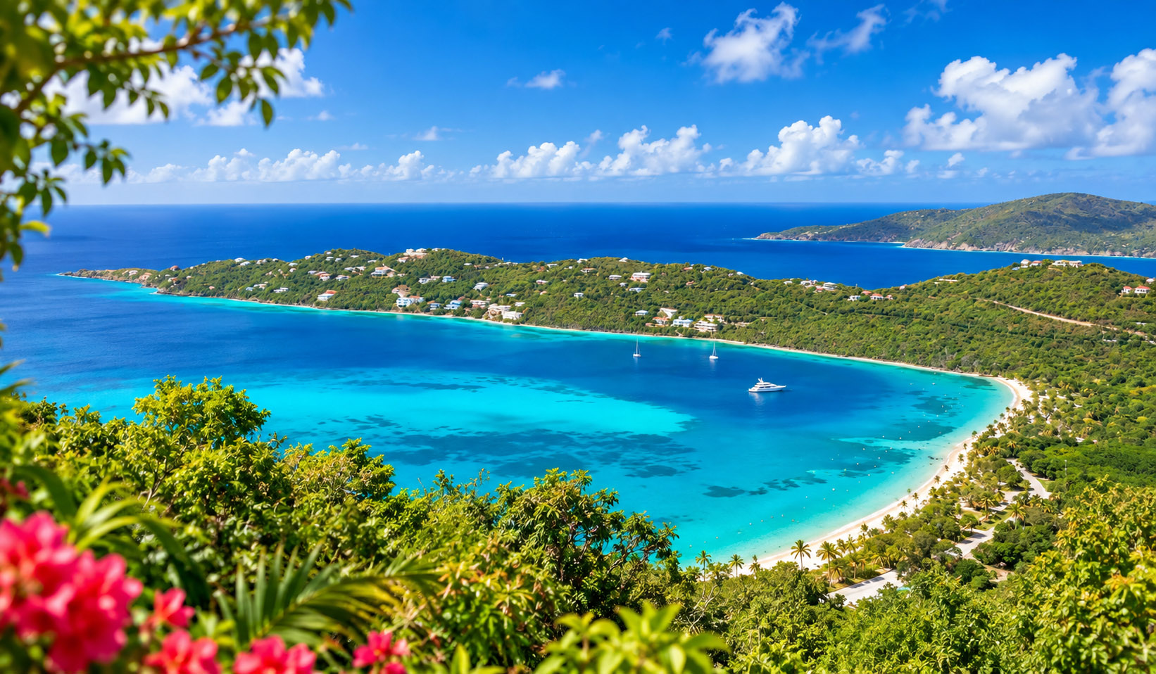 Turquoise water over coral and fish beside a palm-lined beach in St. Thomas, U.S. Virgin Islands